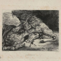 Lion dévorant un cheval Eugène Delacroix