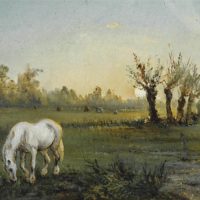 Cheval blanc dans un pré, Paul Signac