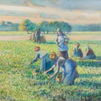 La Récolte des pois, Camille Pissarro